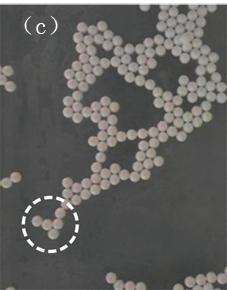 91精品国产自产在线老师啪