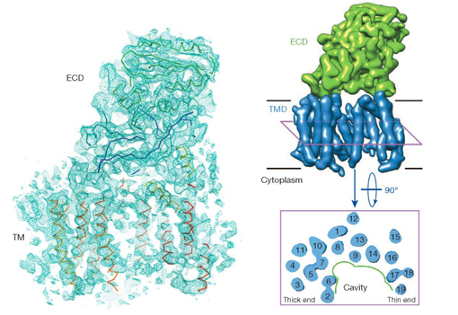 91精品国产自产在线老师啪