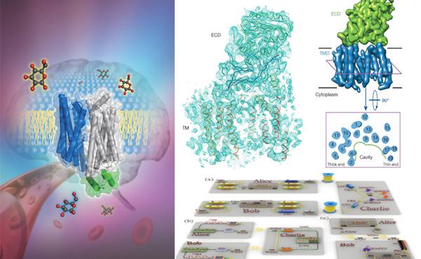 91精品国产自产在线老师啪