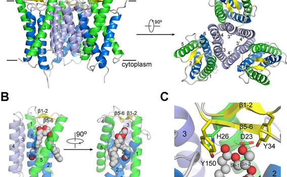 91精品国产自产在线老师啪