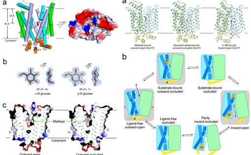 91精品国产自产在线老师啪