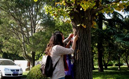 91精品国产自产在线老师啪