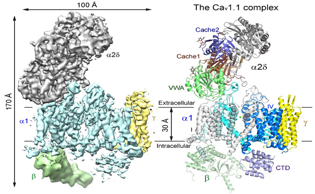 91精品国产自产在线老师啪