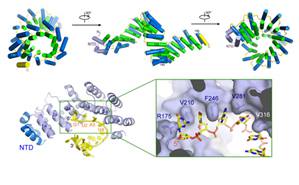 91精品国产自产在线老师啪