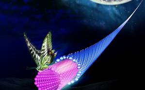 91精品国产自产在线老师啪