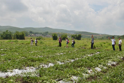 91精品国产自产在线老师啪