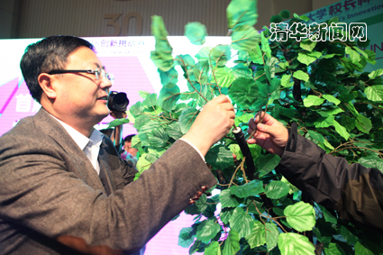 91精品国产自产在线老师啪