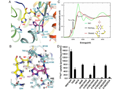 91精品国产自产在线老师啪