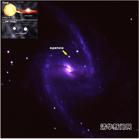 91精品国产自产在线老师啪
