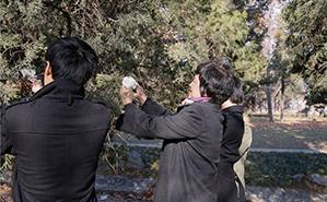 91精品国产自产在线老师啪