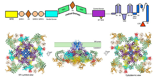 91精品国产自产在线老师啪