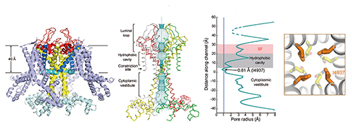 91精品国产自产在线老师啪