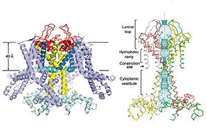 91精品国产自产在线老师啪