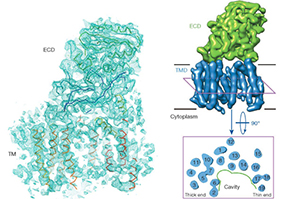 91精品国产自产在线老师啪