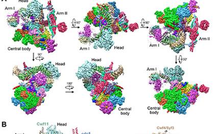 91精品国产自产在线老师啪