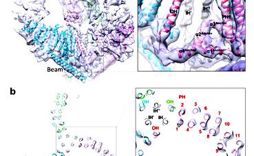91精品国产自产在线老师啪