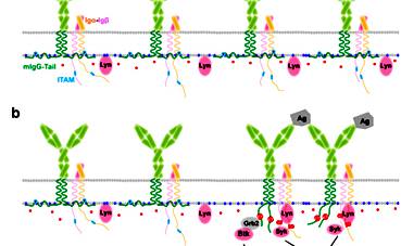 91精品国产自产在线老师啪