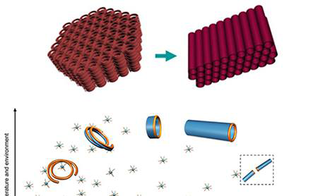 91精品国产自产在线老师啪