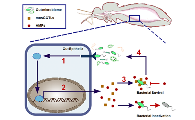 91精品国产自产在线老师啪