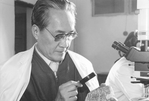 91精品国产自产在线老师啪