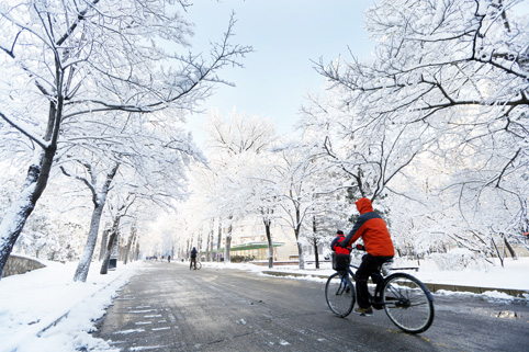 91精品国产自产在线老师啪