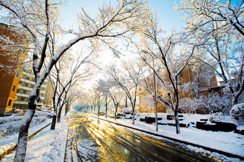 91精品国产自产在线老师啪