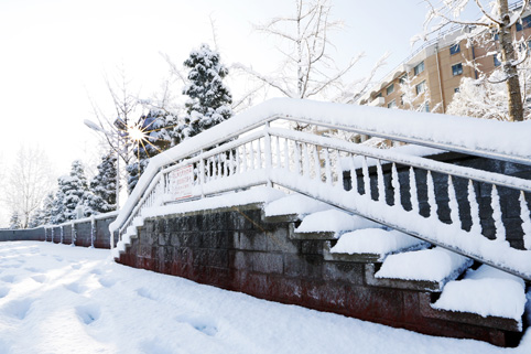 91精品国产自产在线老师啪