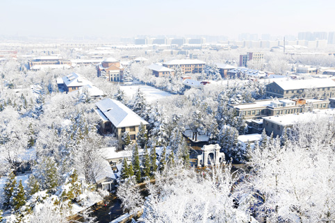 91精品国产自产在线老师啪