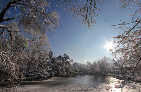 91精品国产自产在线老师啪