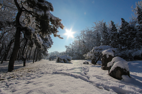 91精品国产自产在线老师啪