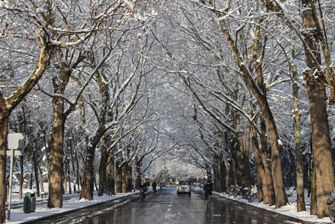 91精品国产自产在线老师啪