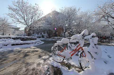 91精品国产自产在线老师啪