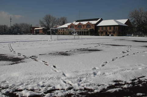 91精品国产自产在线老师啪