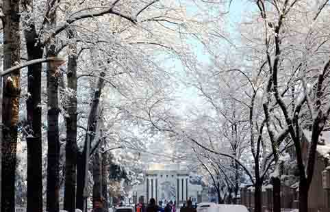 91精品国产自产在线老师啪