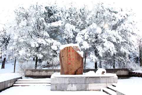 91精品国产自产在线老师啪