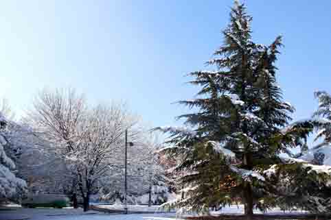 91精品国产自产在线老师啪