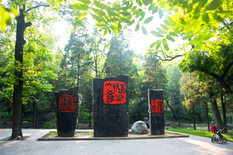 91精品国产自产在线老师啪