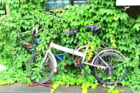 91精品国产自产在线老师啪