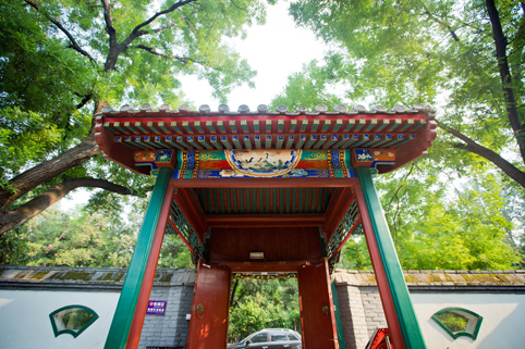 91精品国产自产在线老师啪