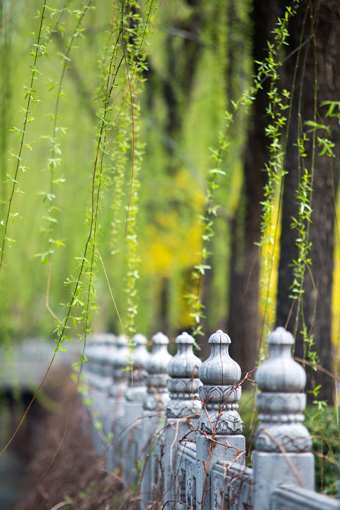 91精品国产自产在线老师啪