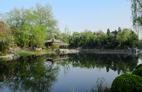 91精品国产自产在线老师啪