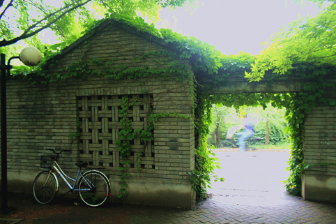 91精品国产自产在线老师啪