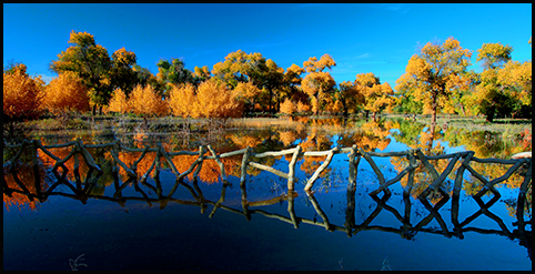 91精品国产自产在线老师啪