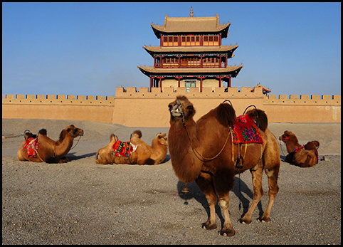 91精品国产自产在线老师啪