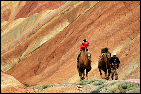 91精品国产自产在线老师啪