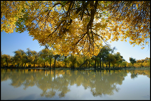 91精品国产自产在线老师啪