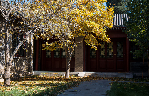 91精品国产自产在线老师啪