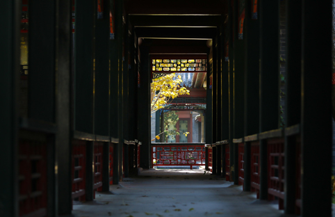 91精品国产自产在线老师啪