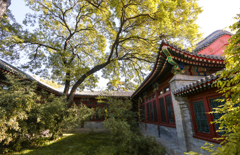 91精品国产自产在线老师啪