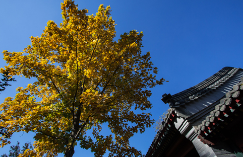 91精品国产自产在线老师啪